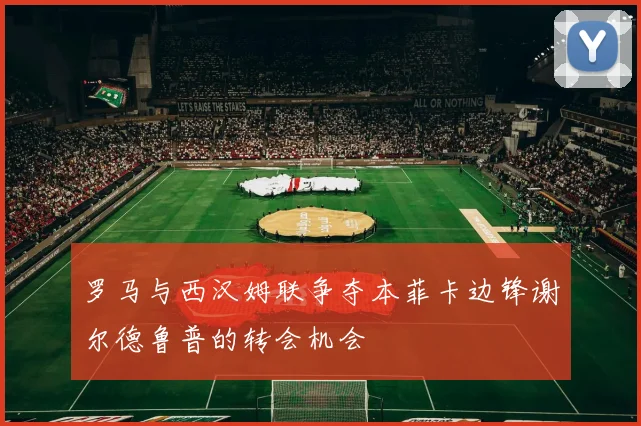 罗马与西汉姆联争夺本菲卡边锋谢尔德鲁普的转会机会
